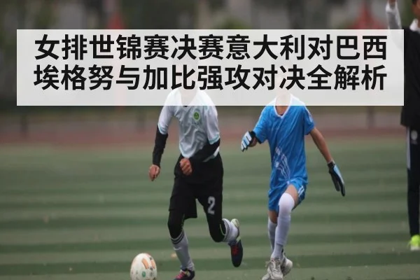 女排世锦赛决赛意大利对巴西 埃格努与加比强攻对决全解析 - kaiyun
