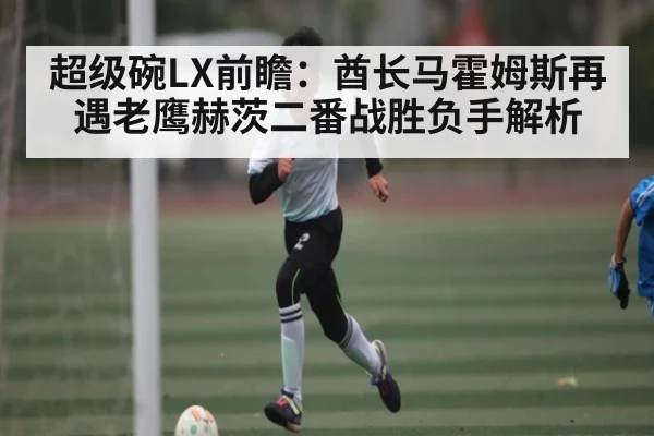 超级碗LX前瞻：酋长马霍姆斯再遇老鹰赫茨二番战胜负手解析 - kaiyun